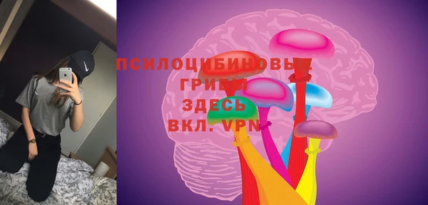 каннабис Корсаков