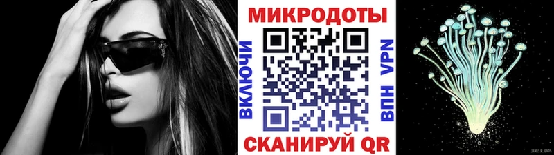 Псилоцибиновые грибы Psilocybe  Купить где  Калязин 